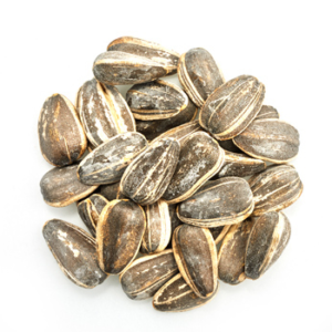 Skyscraper Sunflower Seed