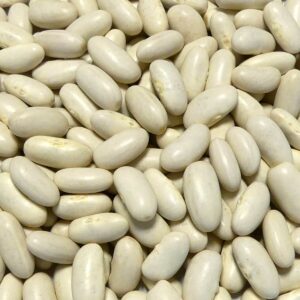 White kidney beans